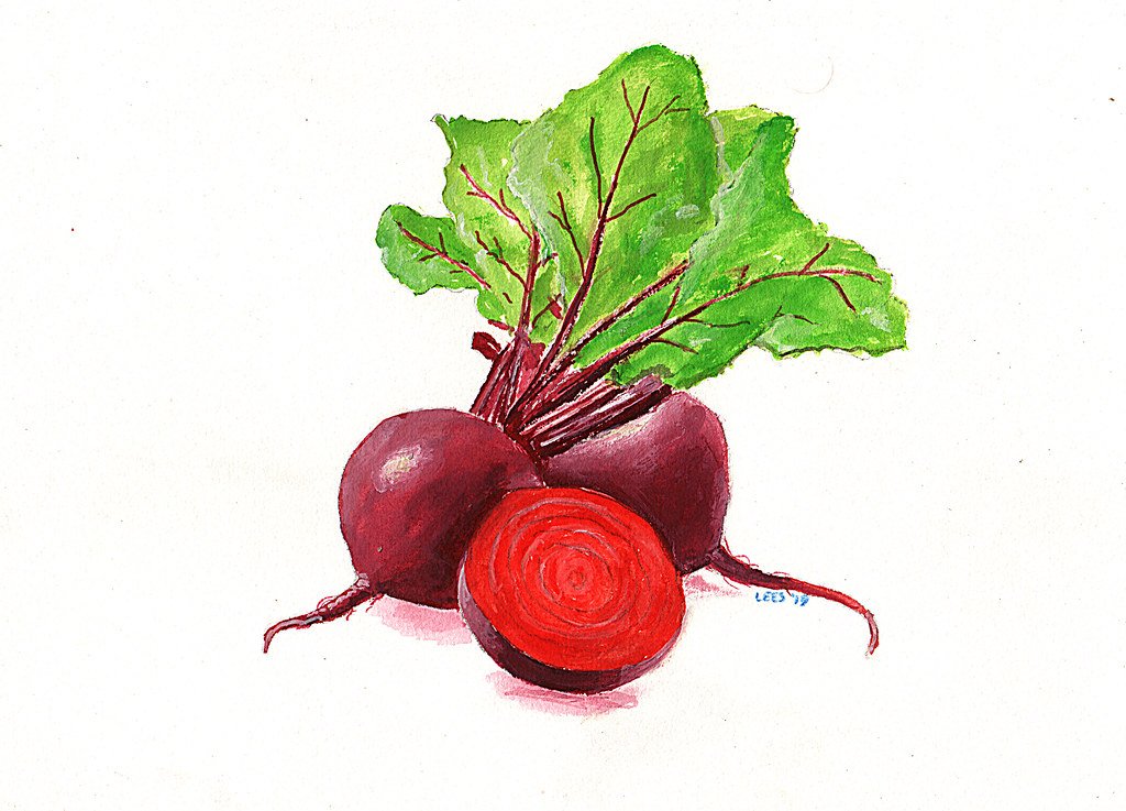 beetroot-in-arabic-with-pronunciation-arabic-lantern