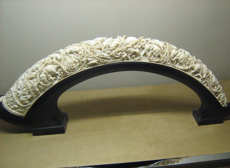 ivory in Arabic