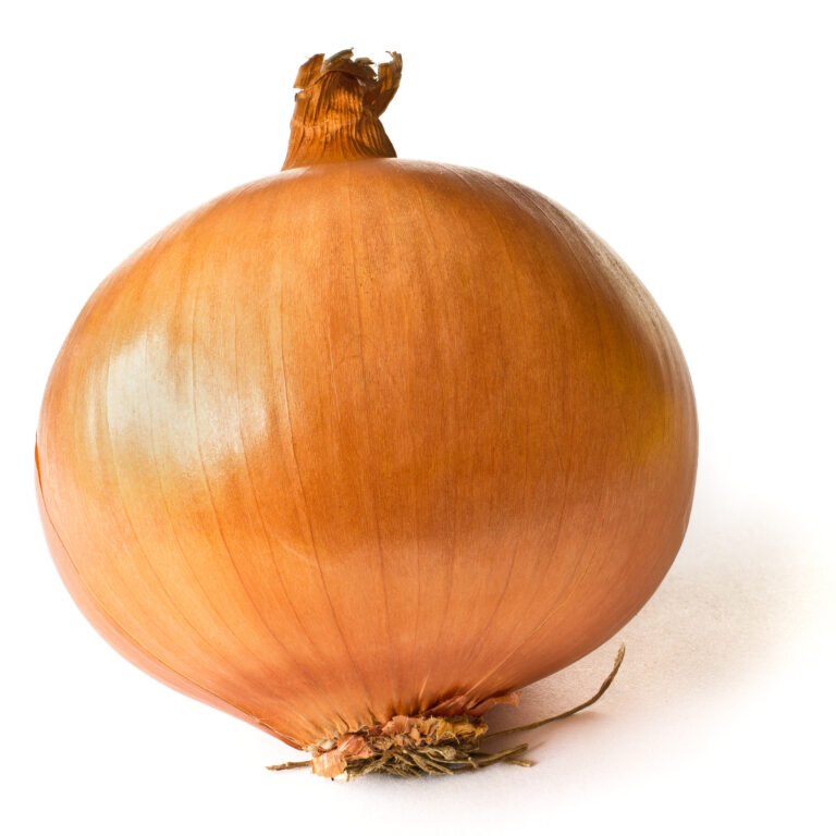 onion in Arabic
