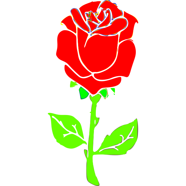 rose-in-arabic-with-pronunciation-arabic-lantern