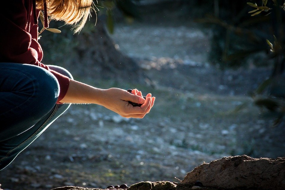 Solely In Arabic With Pronunciation Arabic Lantern
