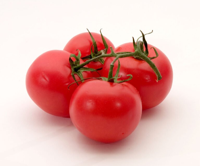 tomato in Arabic